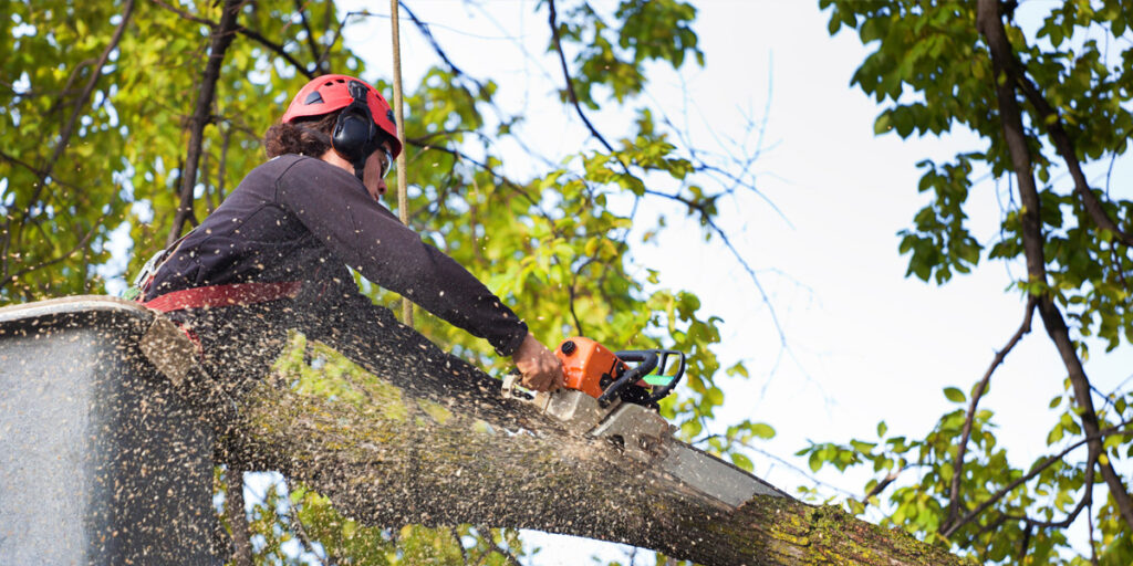 Natural Green Tree Services